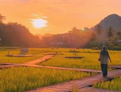 Tempat Wisata Sawah di Sulsel: Tradisi Bertemu Tren Digital Gen Z