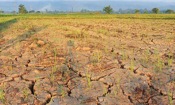 11zon_resized - 2025-10-26T171946.963 Krisis iklim