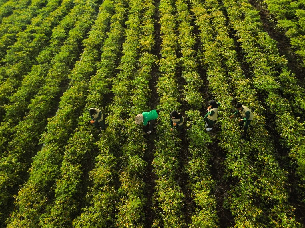 SAVE_20251028_204113 PLN