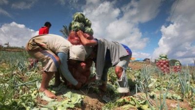 Kearifan Lokal Sulsel