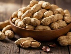 Literasi Pangan Perkotaan: Ciptakan Cemilan Hemat Energi dari Kacang Tanah