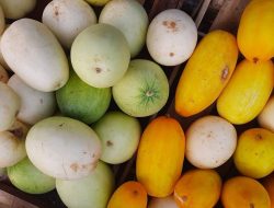 Permintaan Blewah dan Timun Suri Naik Saat Awal Ramadan