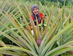 Sulsel Berpotensi Jadi Lumbung Obat Asam Urat