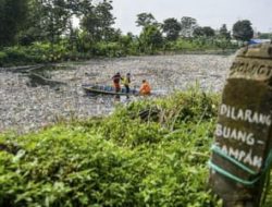 Menjaga lingkungan dari hal-hal kecil: Mulai dari kelola sampah