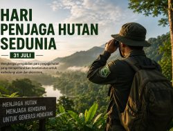 Hari Penjaga Hutan Sedunia 31 Juli: Peran dan Pentingnya