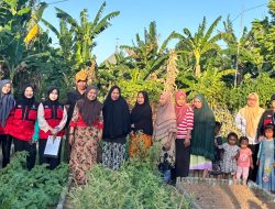 MAHASISWA KKNT INOVASI DESA UNIVERSITAS HASANUDDIN GELOMBANG 116 GELAR PELATIHAN PEMBUATAN PUPUK ORGANIK CAIR (POC) DARI LIMBAH KULIT PISANG DAN SAYURAN RUMAH TANGGA DI KWT GALUNG BOKO DESA KABBA