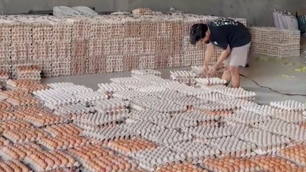Harga Telur